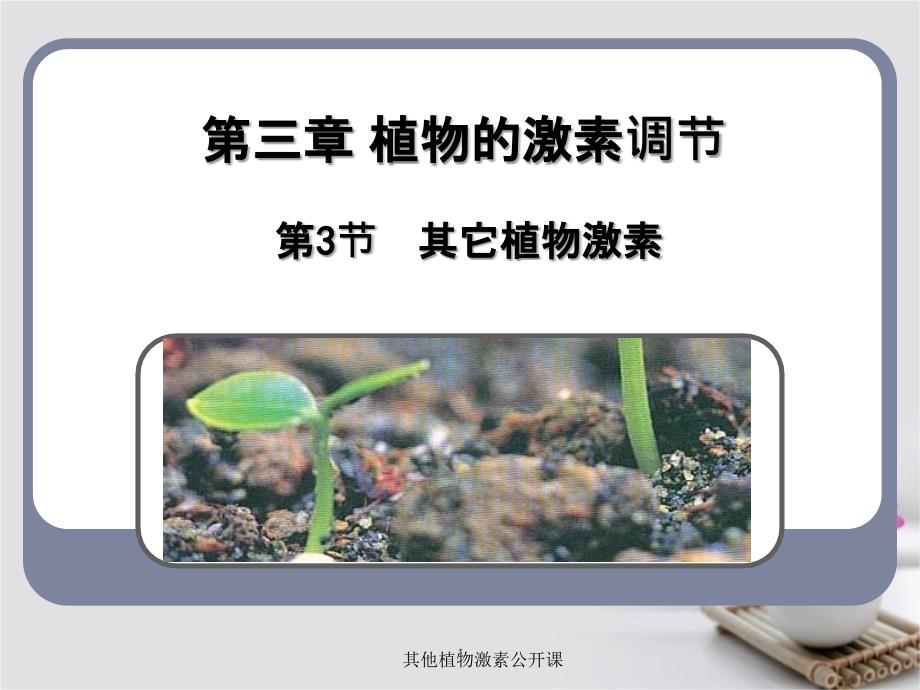 其他植物激素公开课课件_第1页