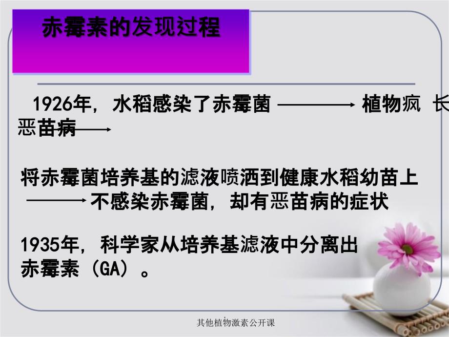 其他植物激素公开课课件_第4页