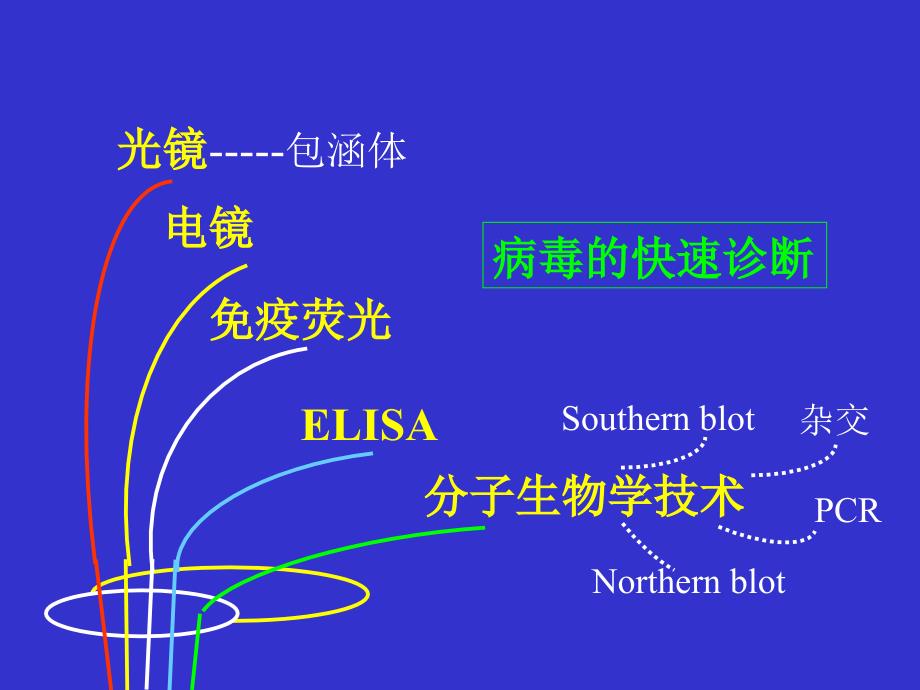 病毒感染检查方法与防治原则文档资料_第4页