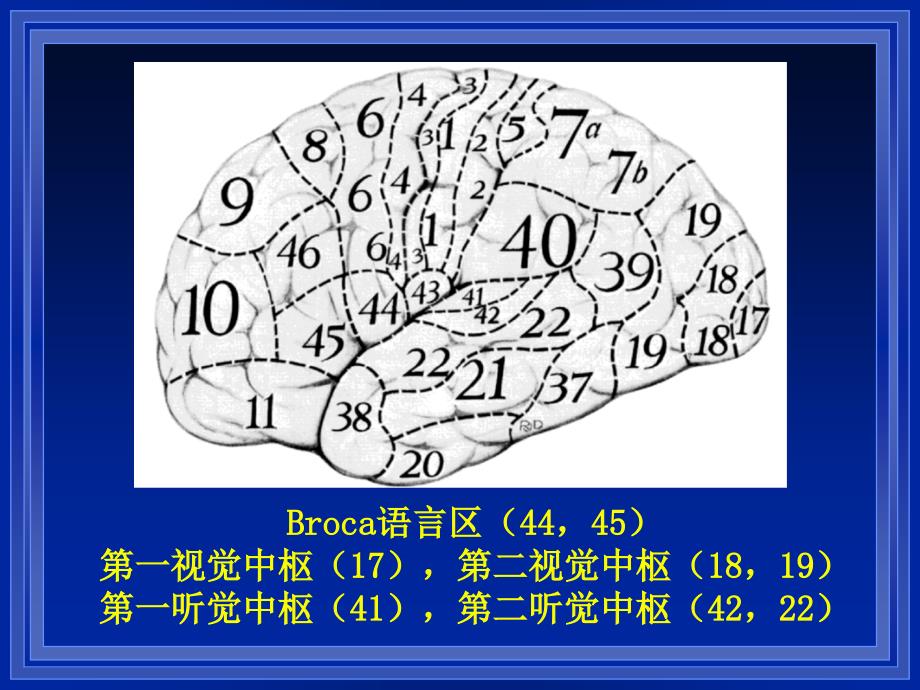 言语呼吸高级课堂_第4页