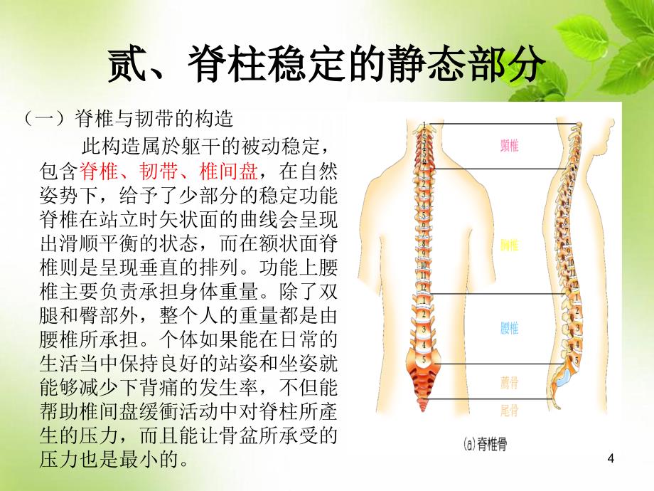 优质课件脊柱核心稳定性的锻炼_第4页