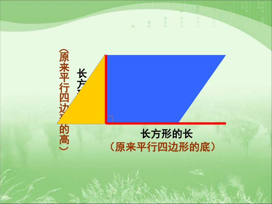 第四单元第五课时_圆的面积(例1)_第4页