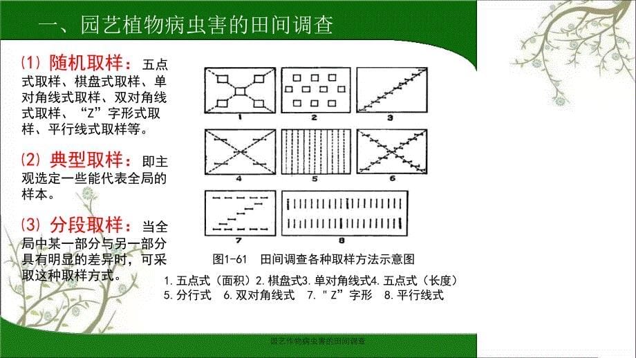 园艺作物病虫害的田间调查_第5页