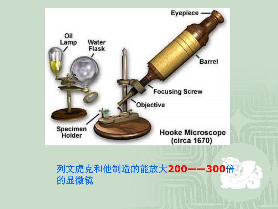 八年级生物上《细菌》课件_第4页