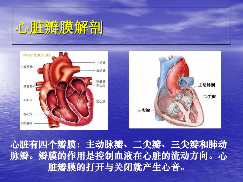 《瓣膜置换术后监护》PPT课件_第2页