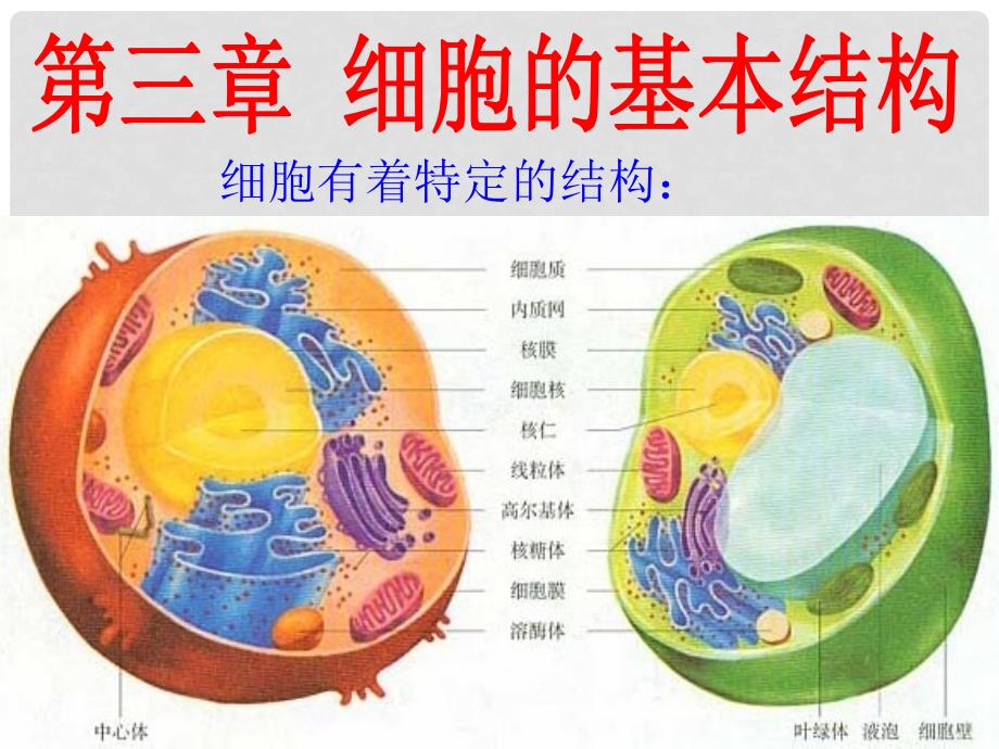 辽宁省沈阳市辽中县第一私立高级中学高中生物 第3章 第1节 细胞膜 系统的边界课件 新人教版必修1_第2页