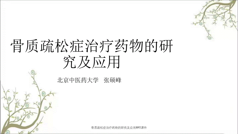 骨质疏松症治疗药物的研究及应用PPT课件_第2页