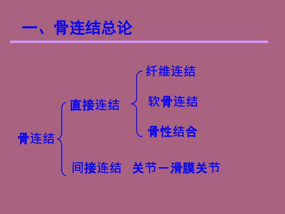 4关节总论躯干骨颅骨连结ppt课件_第1页