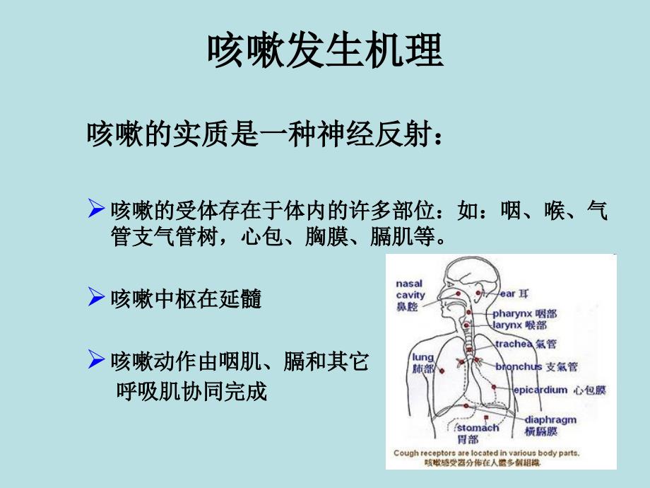 咳嗽咳痰的诊断学描述_第3页