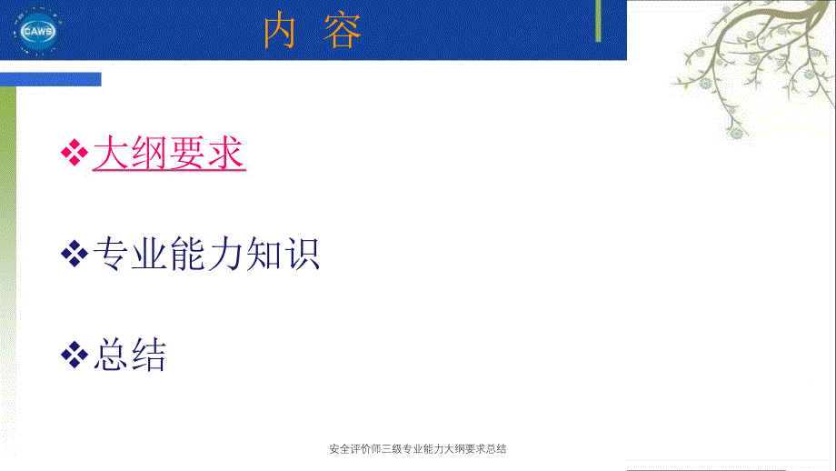 安全评价师三级专业能力大纲要求总结PPT课件_第2页