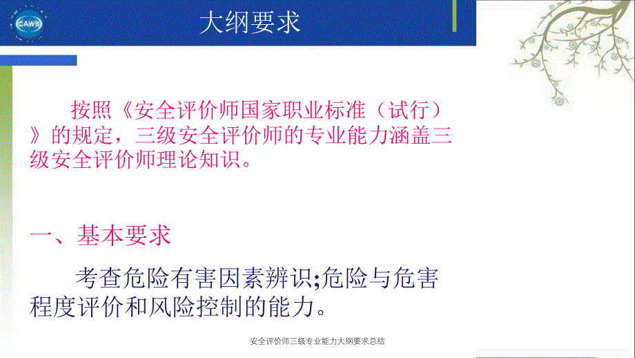 安全评价师三级专业能力大纲要求总结PPT课件_第3页