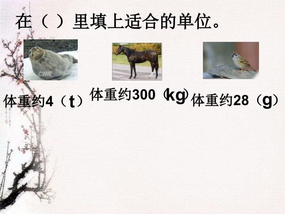 沪教版数学四上从克到吨PPT件之一_第5页