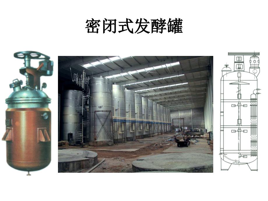 微生物学的奠基人伟大的巴斯德_第3页