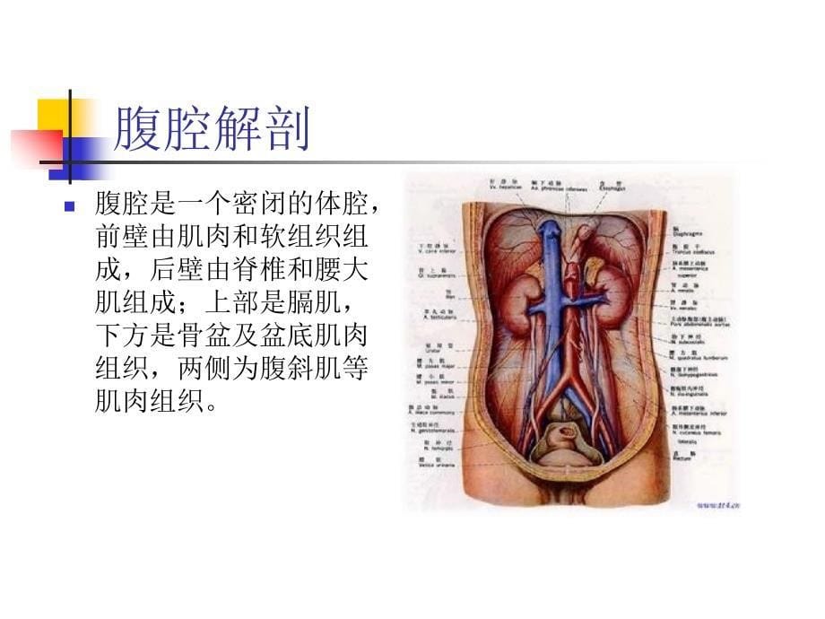 腹腔压力监测_第5页