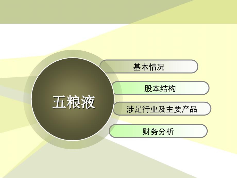 《粮液财务报表分析》PPT课件_第2页