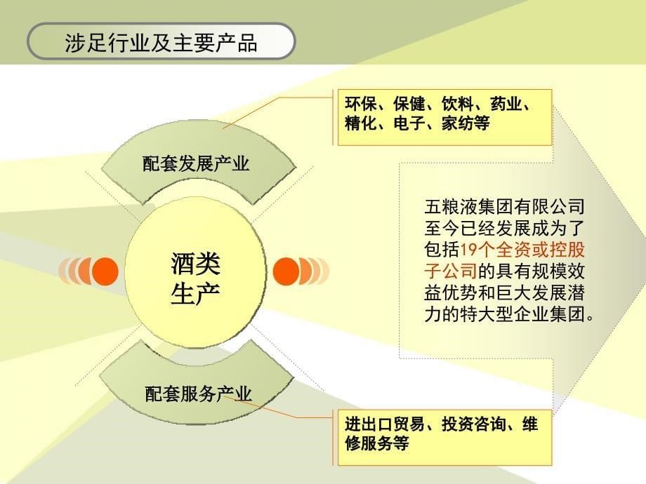 《粮液财务报表分析》PPT课件_第5页