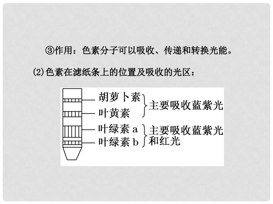 高考生物二轮复习 第一部分 晨背四 光合作用和细胞呼吸的原理课件（通用版）_第3页