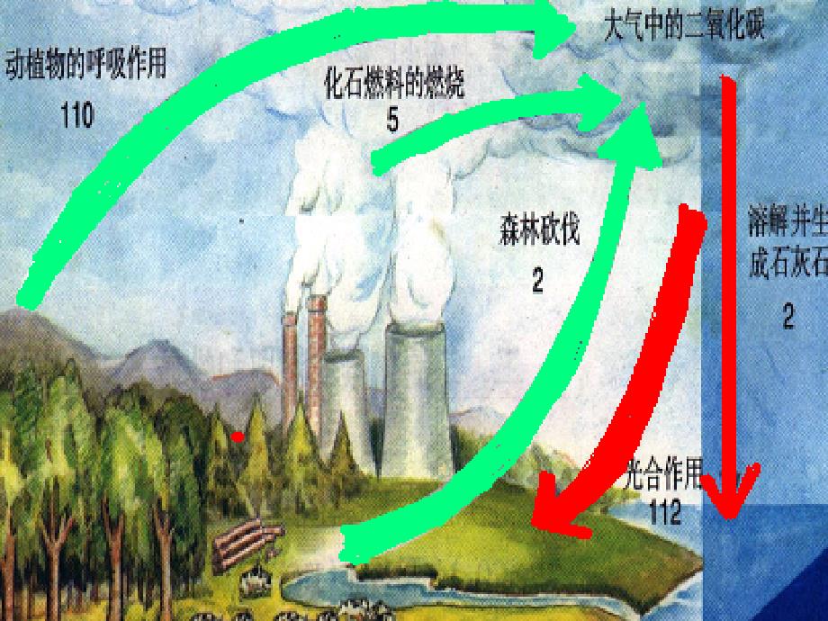 九年级化学 4.4大自然中的二氧化碳课件_第3页