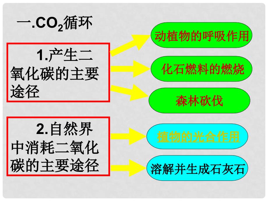 九年级化学 4.4大自然中的二氧化碳课件_第4页