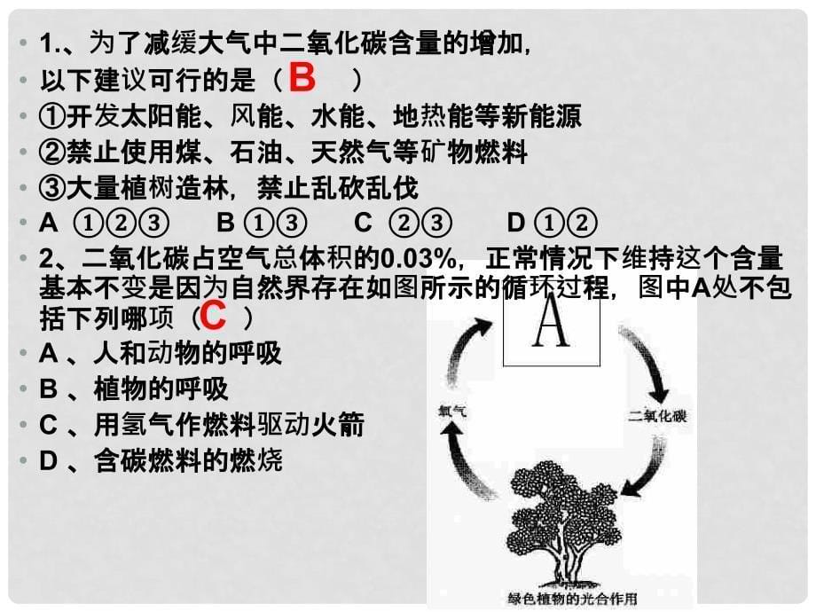 九年级化学 4.4大自然中的二氧化碳课件_第5页