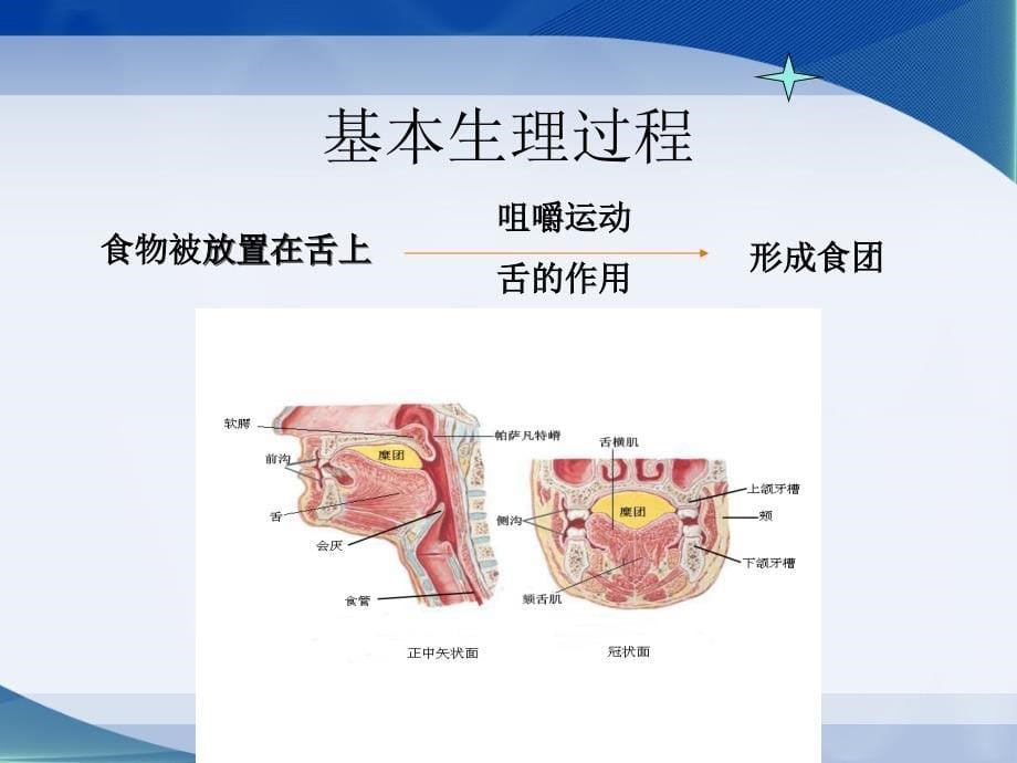 健康评估3老年人吞咽困难评估及管理50P_第5页