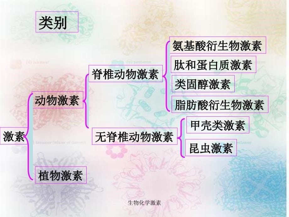 生物化学激素课件_第5页