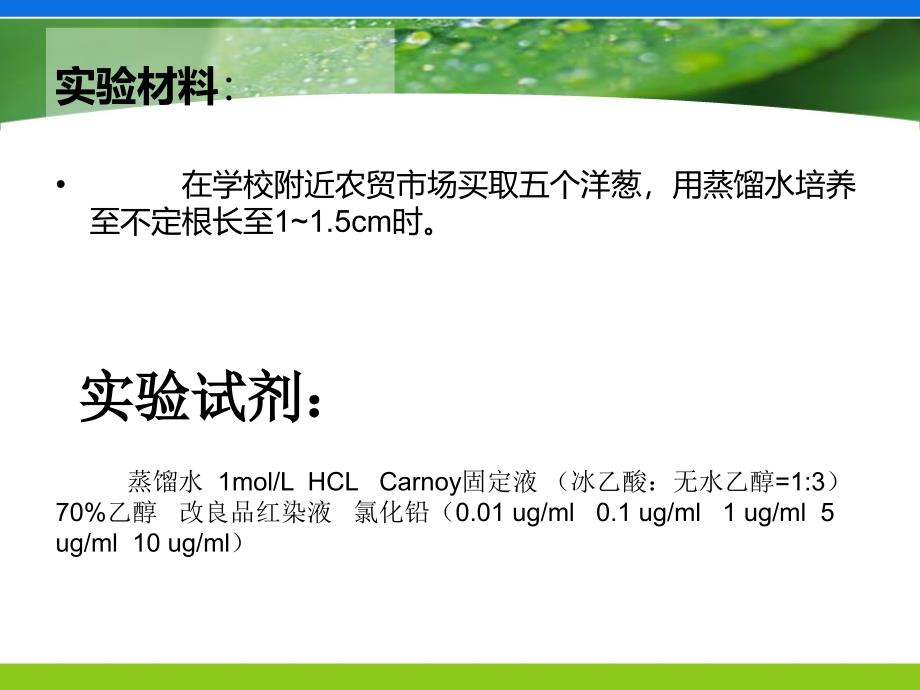 铅对洋葱根尖细胞分裂及其染色体畸变影响课件_第4页