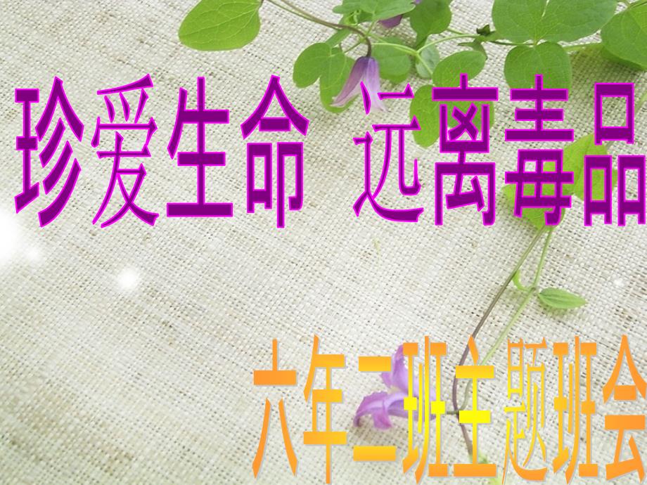 珍爱生命远离毒品.ppt_第2页