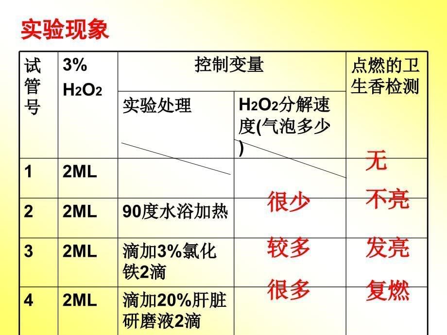 第5章第1节酶lvqin_第5页