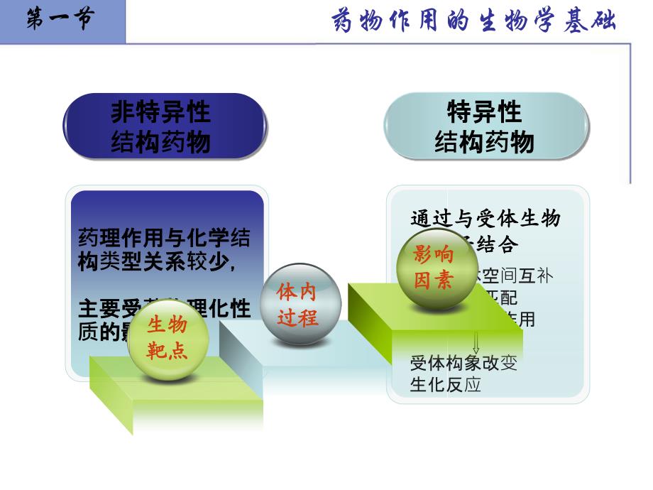 新药设计与开发_第3页