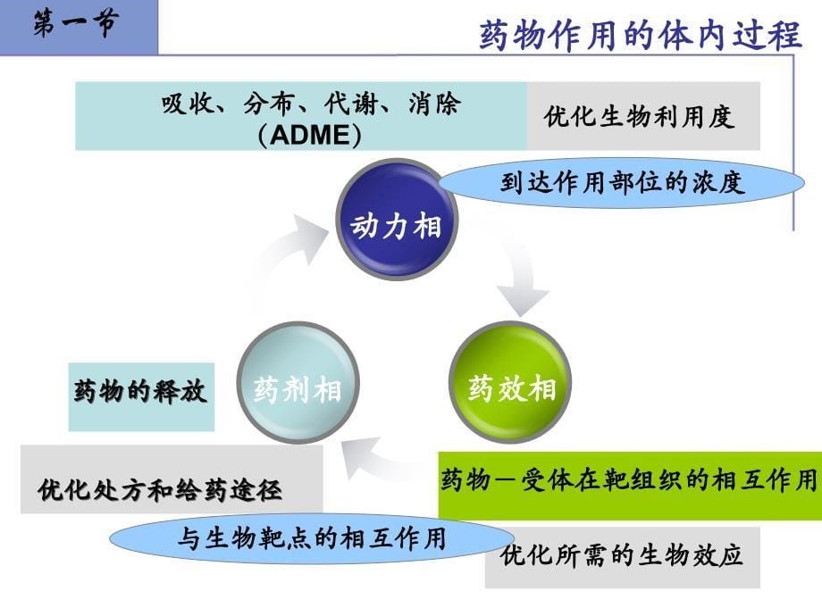 新药设计与开发_第5页