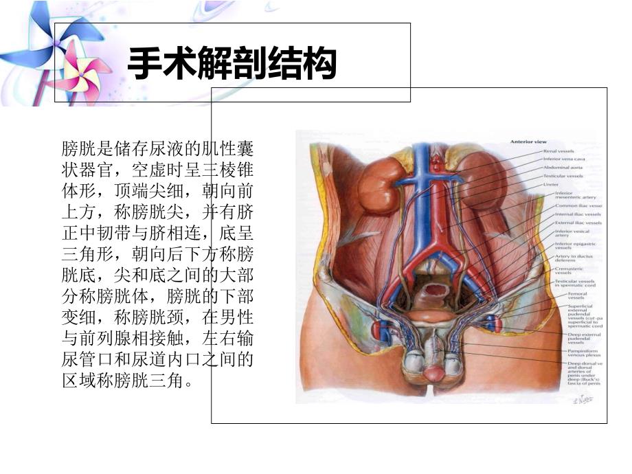 全膀胱切除护理查房ppt课件_第4页