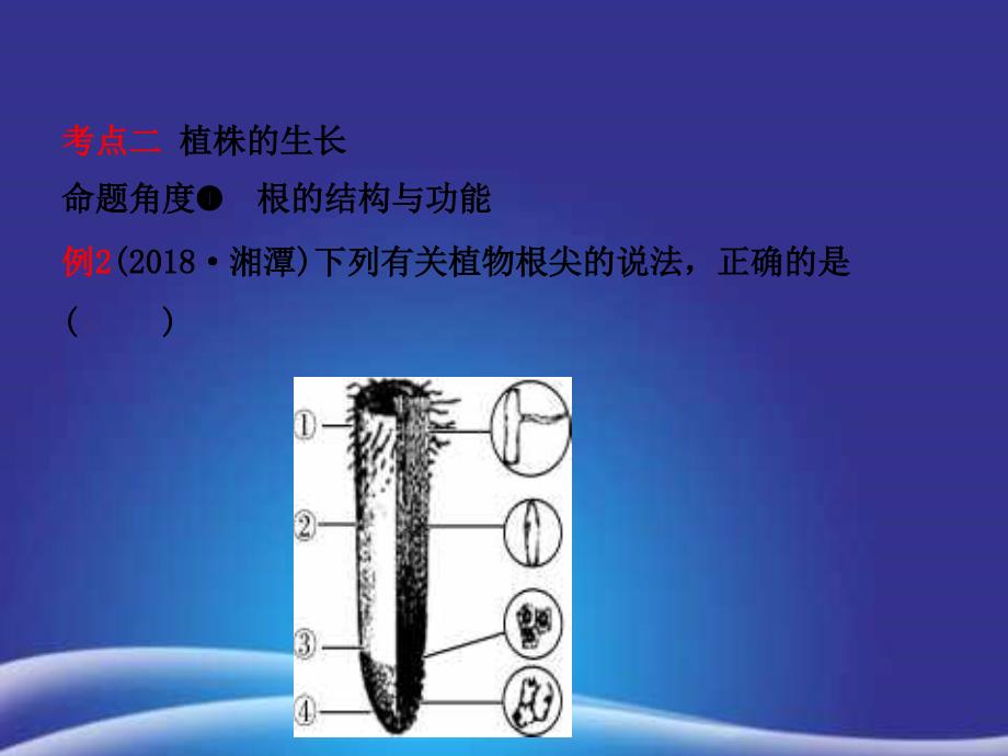 初三中考生物第三单元第二章复习ppt课件_第4页