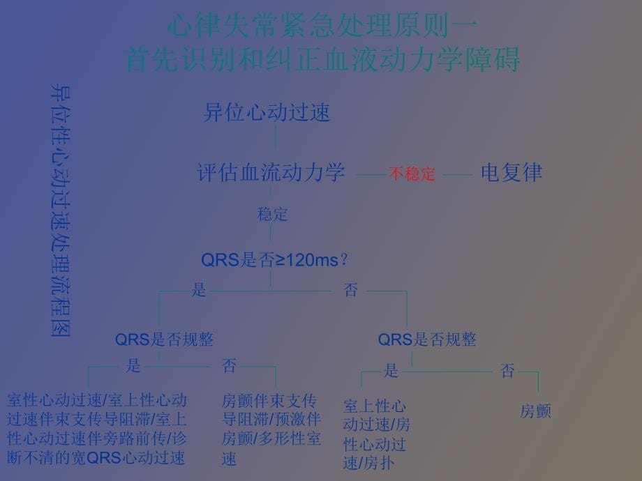 小儿心律失常的急正式_第5页