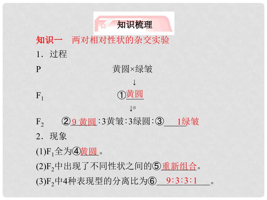 高考生物 第1章第2讲 孟德尔的豌豆杂交实验（二）知识研习课件 新人教版必修2_第3页