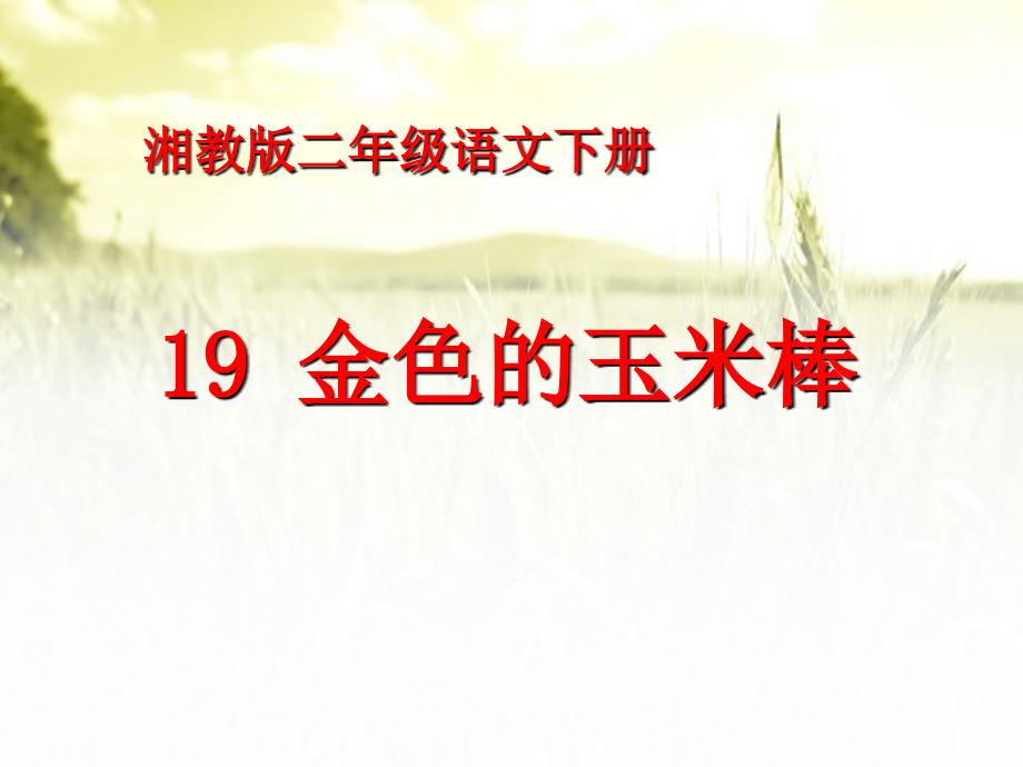 春湘教版语文二下《金色的玉米棒》ppt课件3_第1页