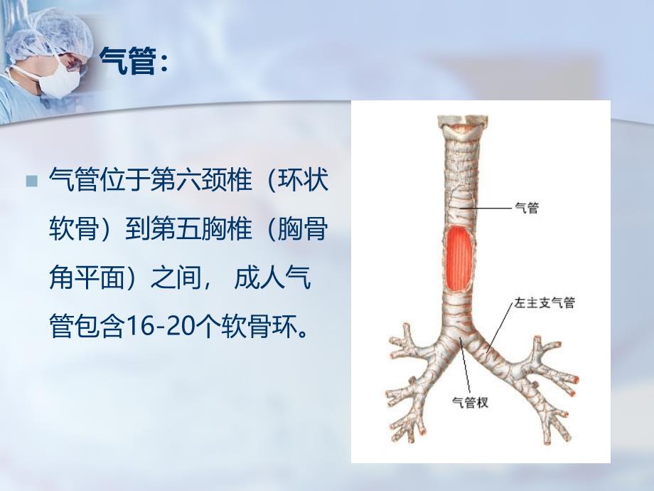 气管肿瘤的麻醉选择与围术期处理1_第4页