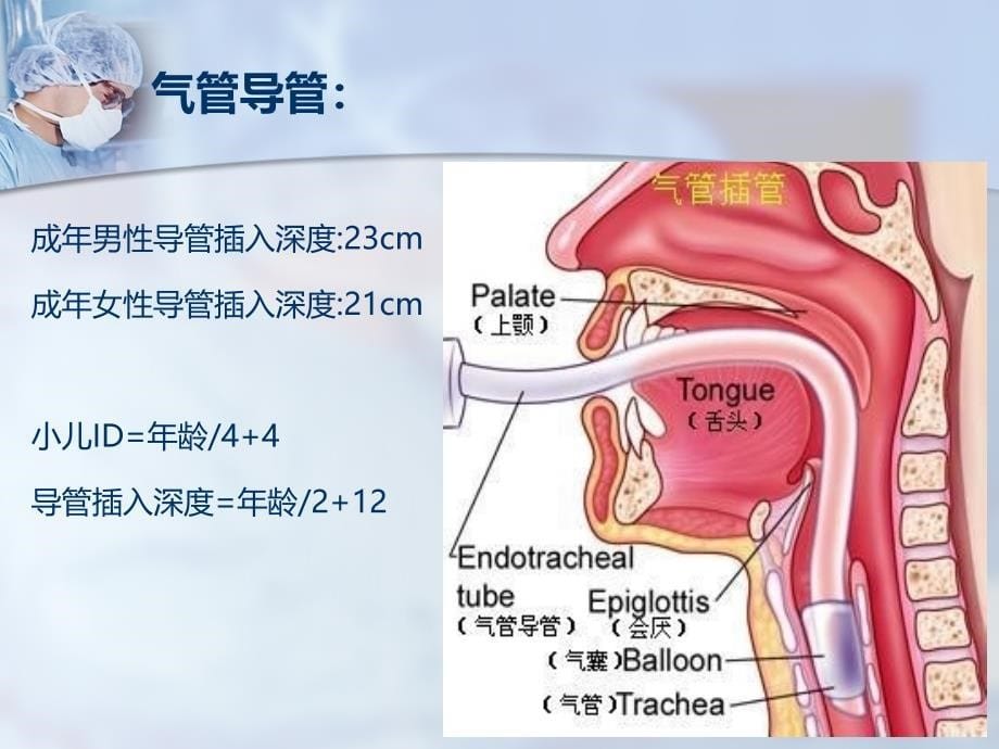 气管肿瘤的麻醉选择与围术期处理1_第5页