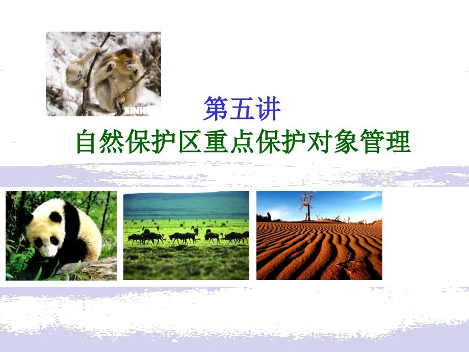 自然保护区重点保护对象管理.ppt_第1页