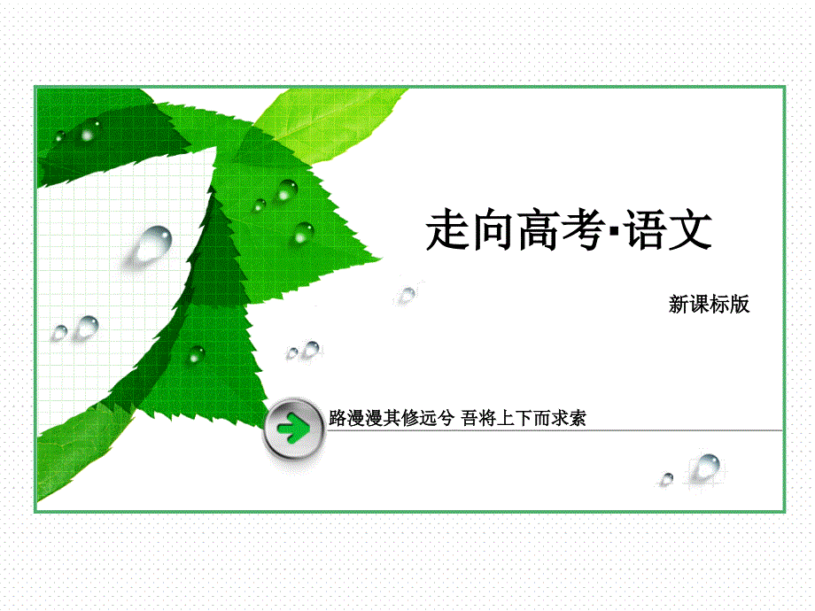 走向高考语文_第1页