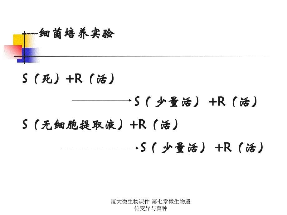 厦大微生物课件第七章微生物遗传变异与育种_第5页