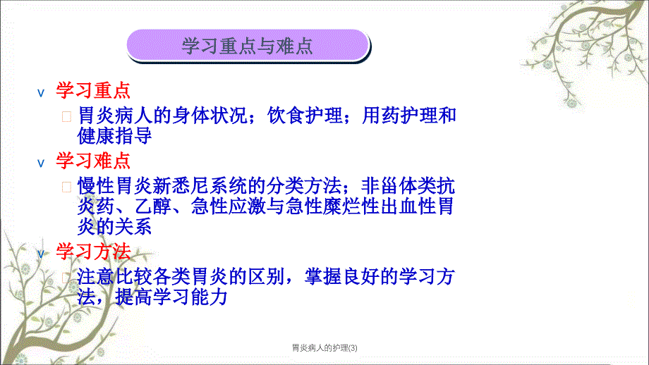 胃炎病人的护理3课件_第2页