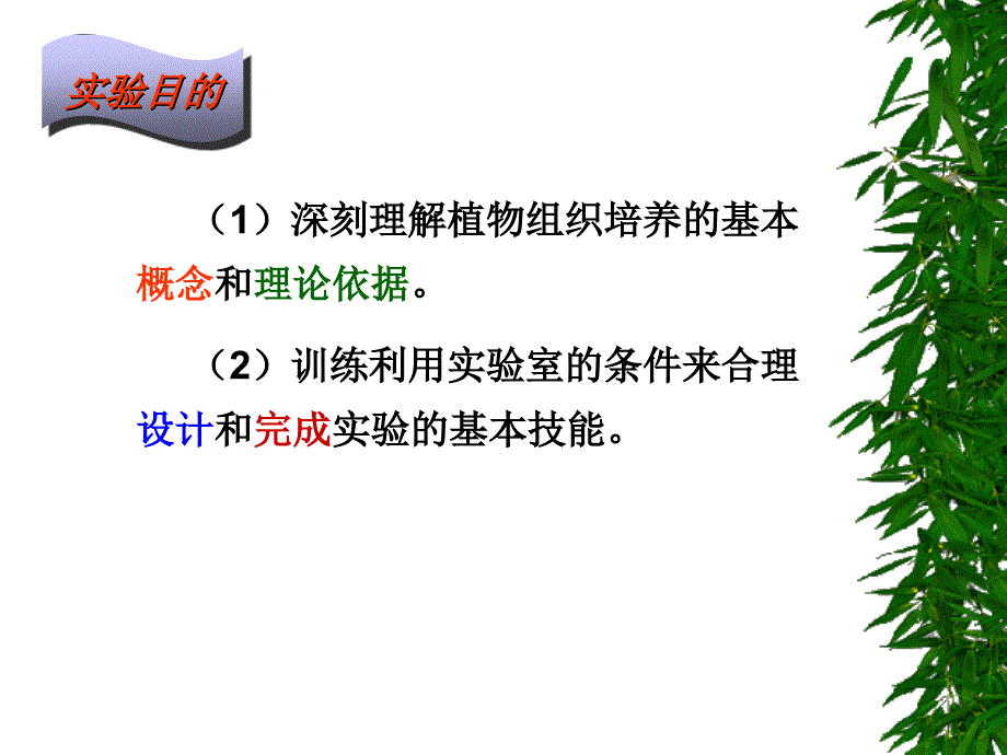 植物的组织培养菊花课件_第2页