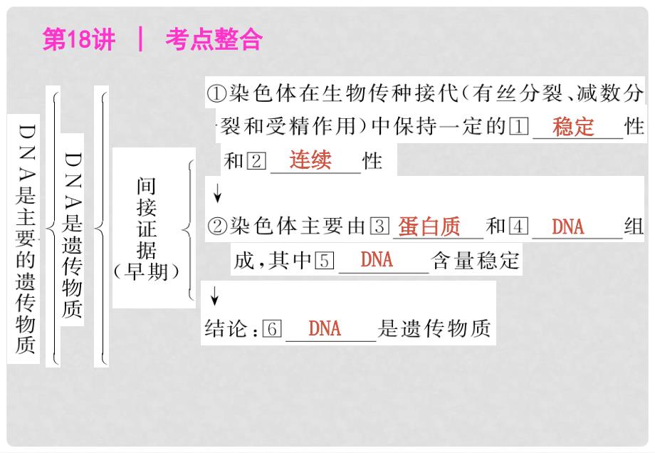 高三生物基础复习 第三单元DNA是主要的遗传物质 新人教版必修2_第2页