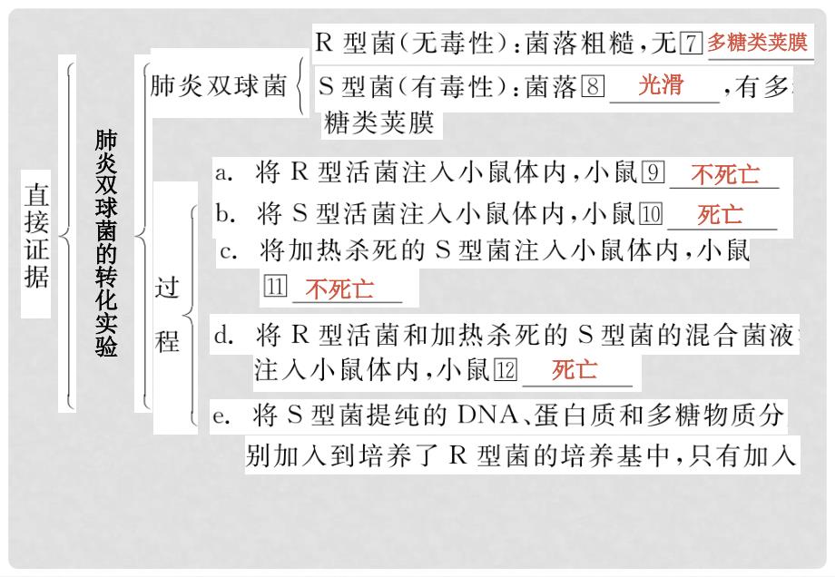 高三生物基础复习 第三单元DNA是主要的遗传物质 新人教版必修2_第3页