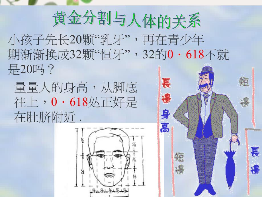 八年级数学下册4.2黄金分割课件北师大版课件_第3页