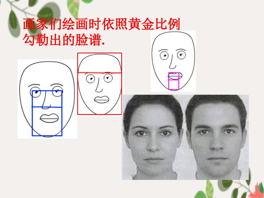 八年级数学下册4.2黄金分割课件北师大版课件_第4页