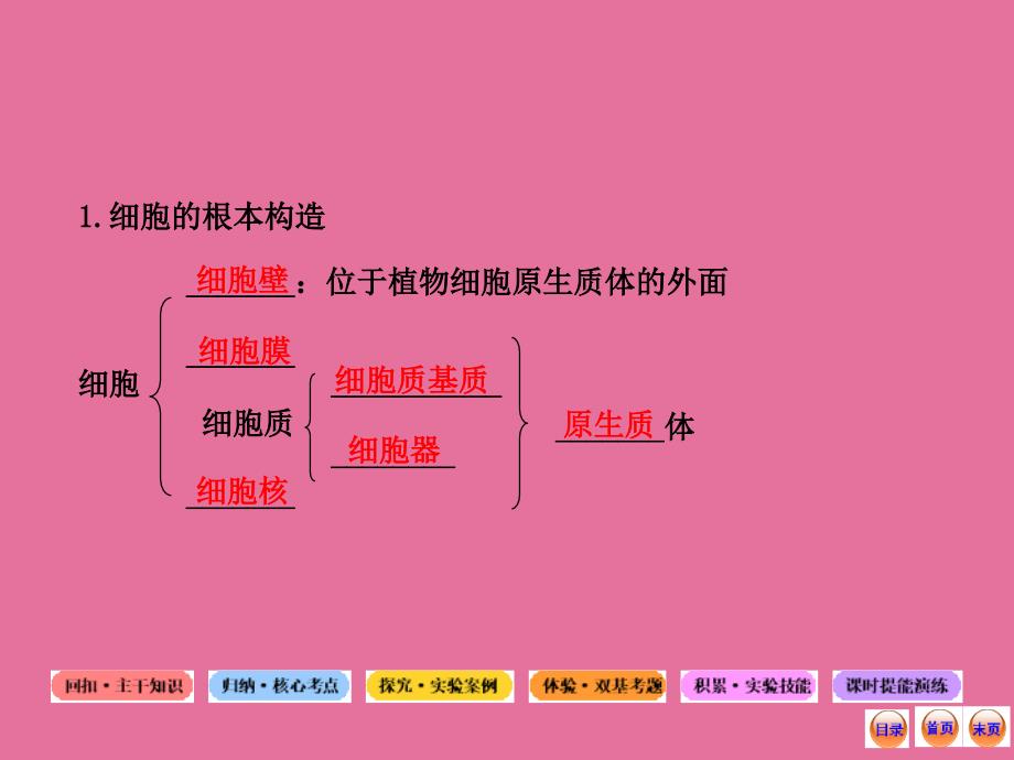 生物系统复习必备全套中图版1.1.2.23细胞的基本结构真核细胞与原核细胞ppt课件_第3页