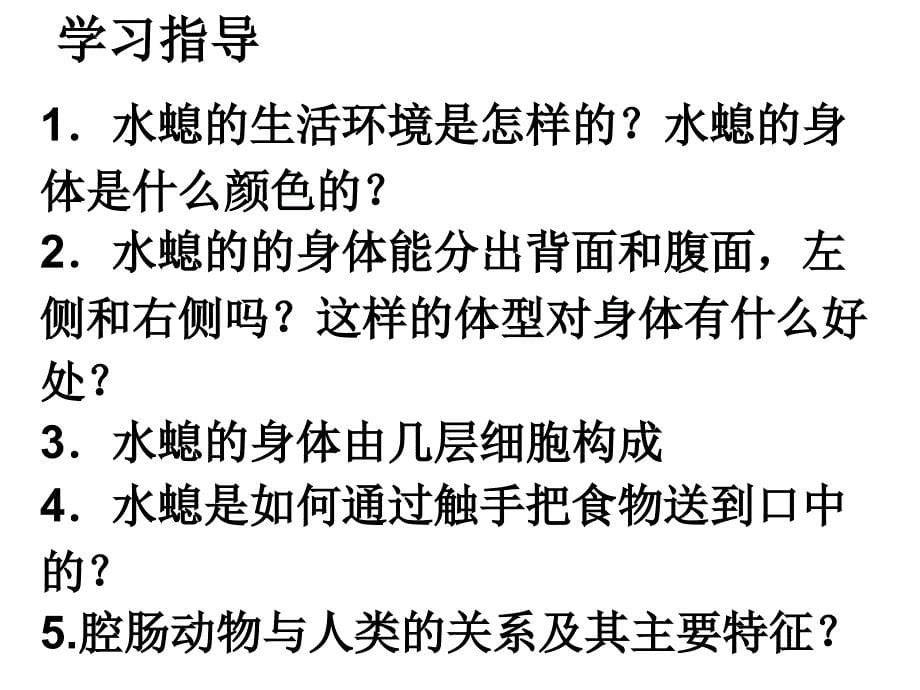 新人教版八年级生物上册第一章第一节腔肠动物和扁形动物课件2_第5页