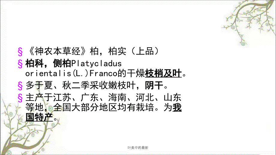 叶类中药最新课件_第3页